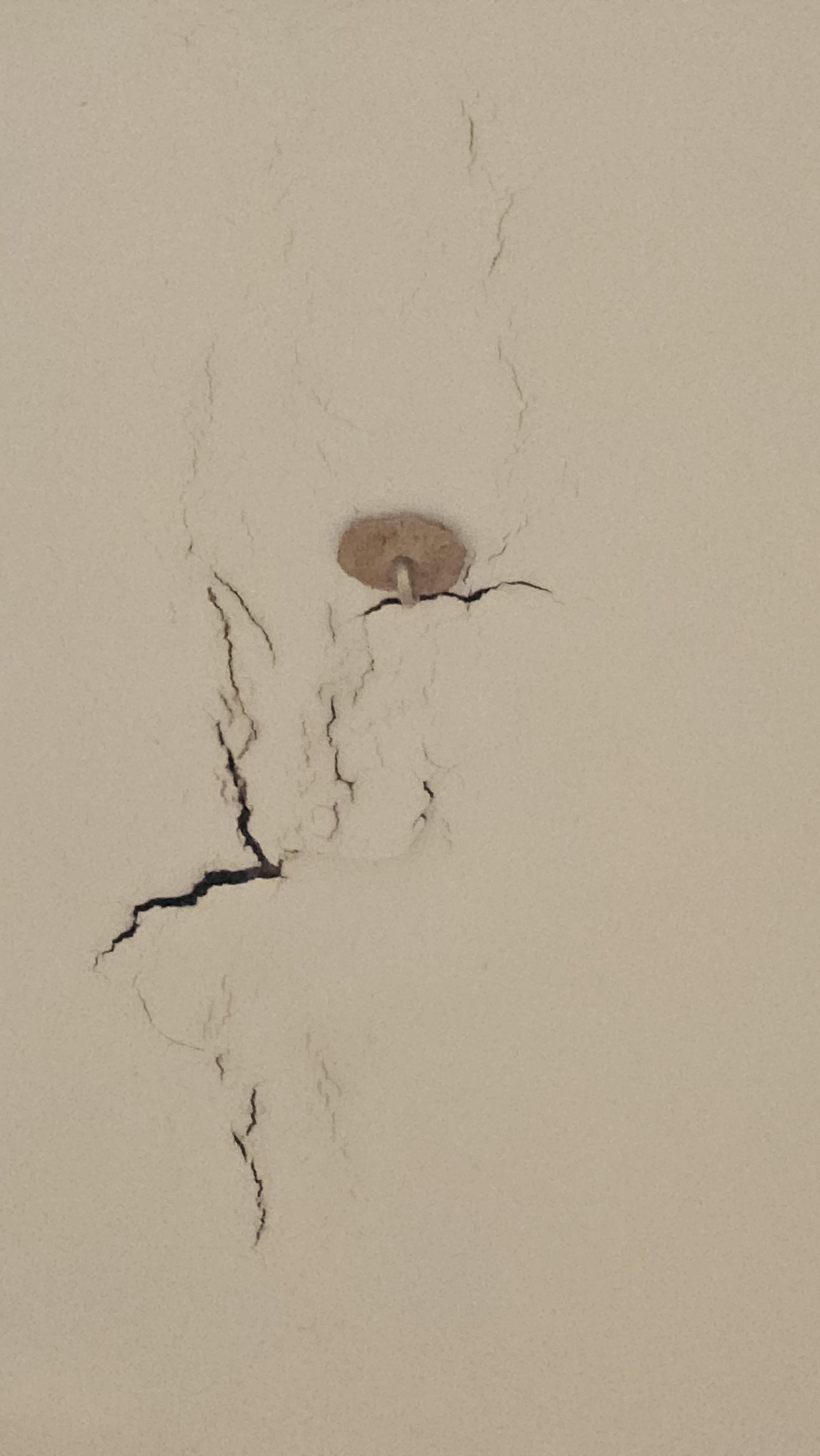 A mushroom growing out of a cracked, water-stained ceiling