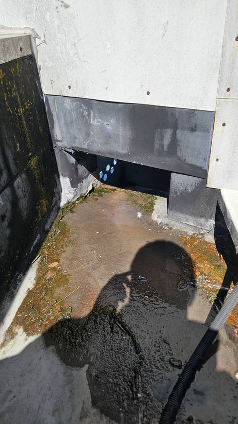 A Butynol scupper detail in a tight corner, with ponding water, organic growth and staining gathered around the outlet.