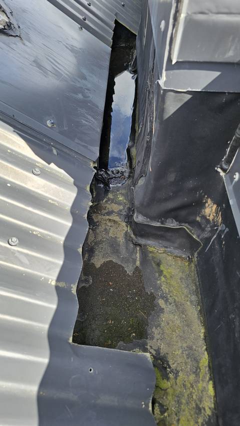 Where the metal roofing meets this membrane detail, earlier silicone work and untidy detailing sit over the junction, with water and debris still collecting in the channel.