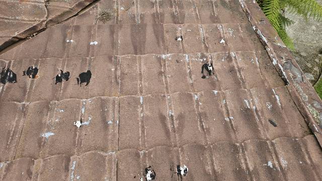Decramastic tiles with heavy denting and worn chip coating, with blobs of silicone dabbed across the surface where the roof had been leaking.