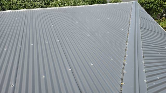Pale rings of oxidisation forming around the screw heads across a corrugated roof about ten years old.