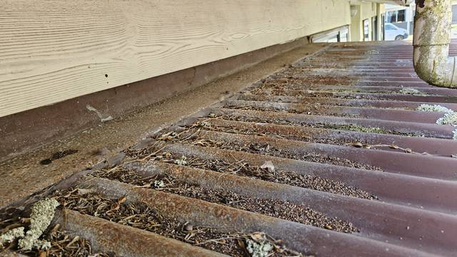Surface rust, lichen and trapped debris across low-pitch corrugated sheets where they run in under a wall.