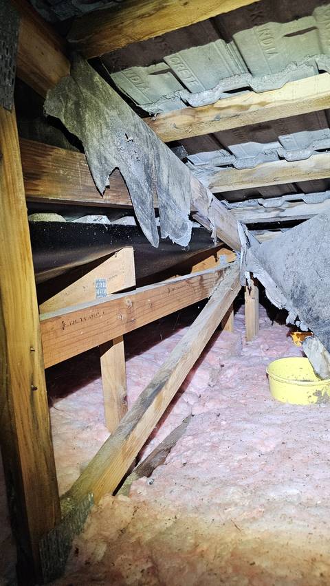 In the roof cavity under concrete tiles, the underlay has rotted and torn away and a bucket sits on the insulation where drips have been landing.