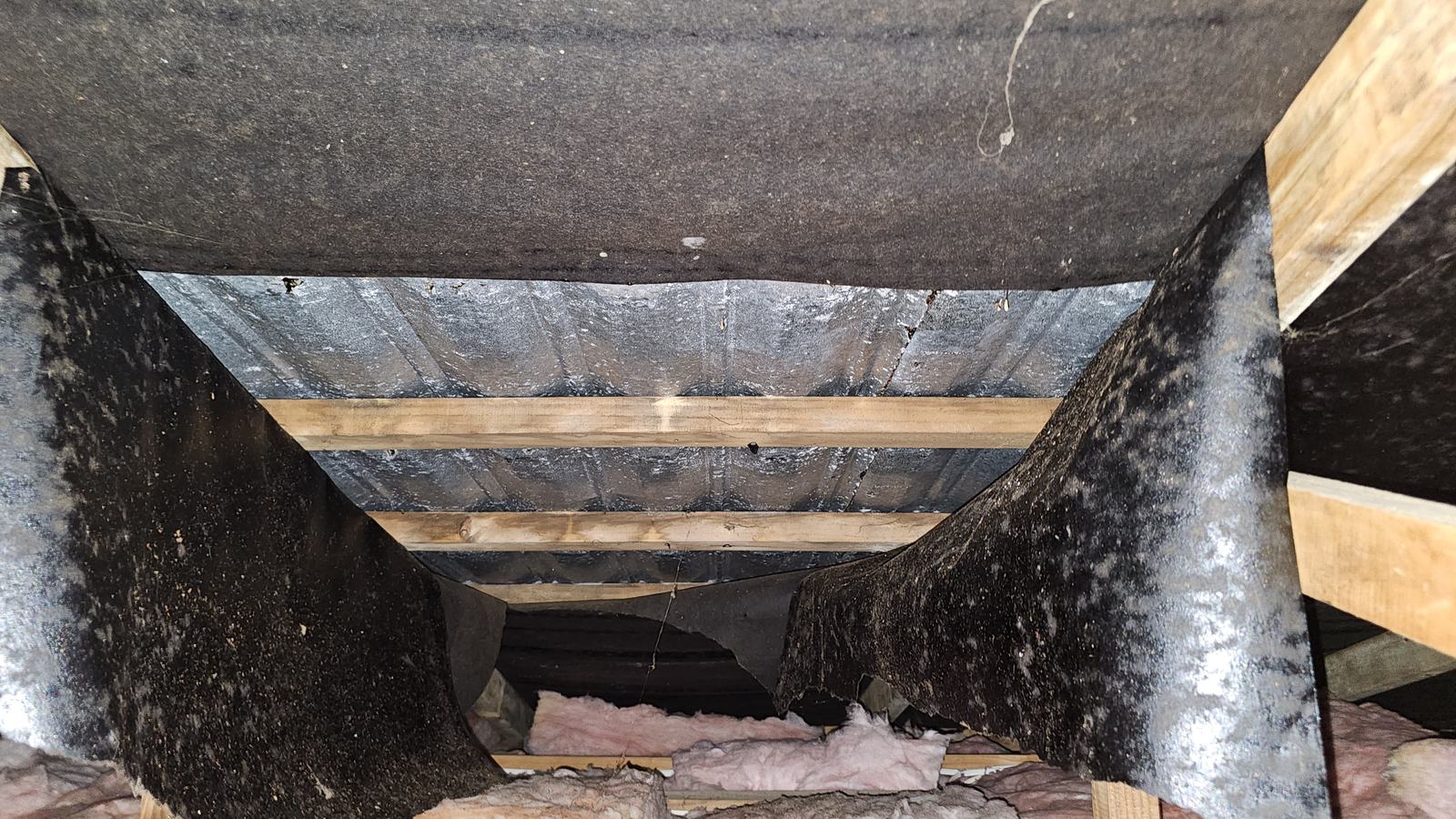 Mould-darkened underlay inside a pressed-tile roof space where water has been getting in