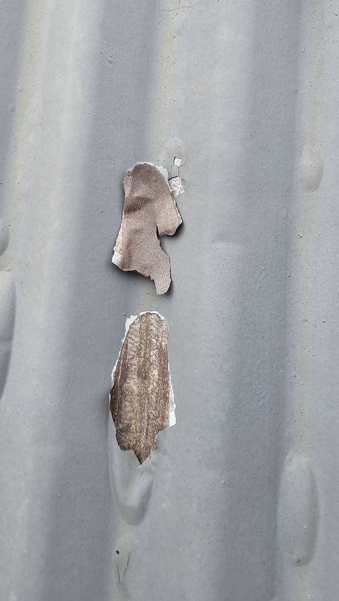 The topcoat is lifting and peeling off a corrugated sheet, exposing the weathered surface underneath.