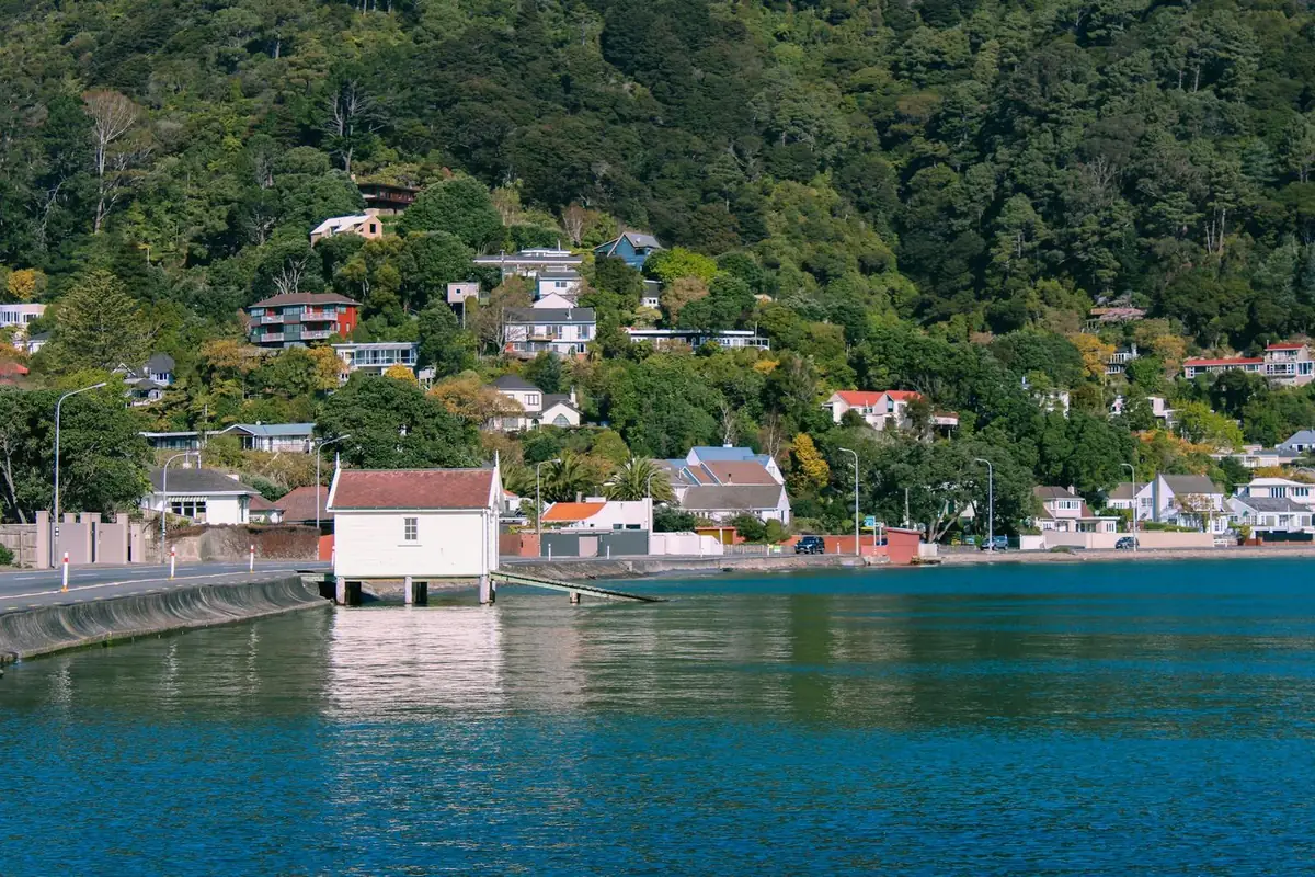 Wellington hillside homes and roofs beside the harbour